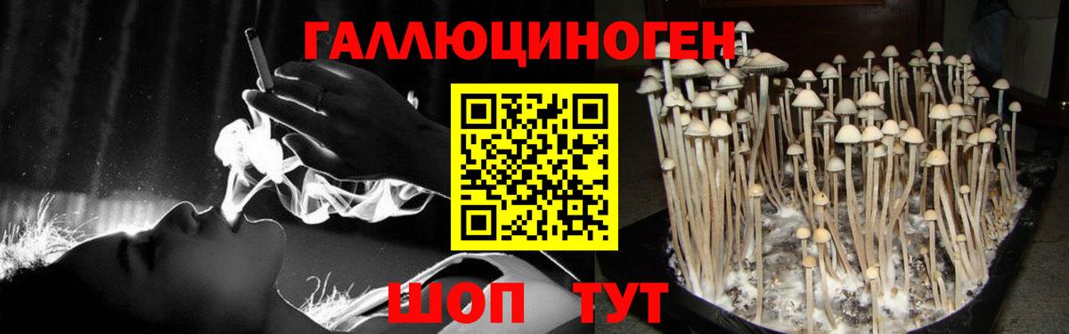 Псилоцибиновые грибы GOLDEN TEACHER Камышлов